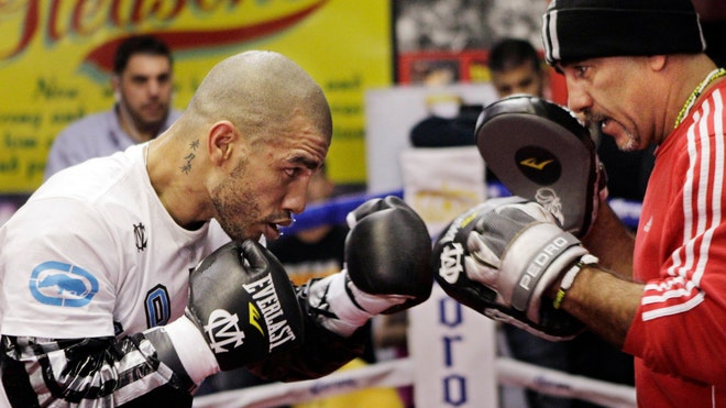 Cotto Boxing.jpg